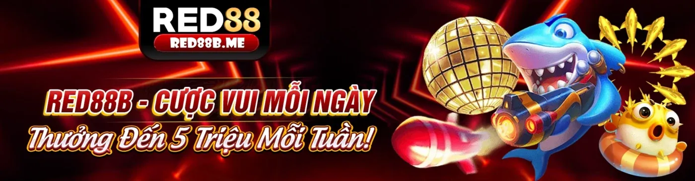 Hình ảnh Chính sách Cookie của ban88 link mới
